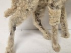 Antique Taxidermy Toy Camel Figure