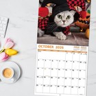 2026 Calendar  2026 Wall Funny Cats Calendar 2026  Jan  2026 -    