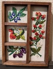 Vntg Framed Shadow Box Needlepoint Embroidered Fruit Floral Picture Cottage Core