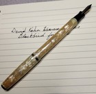 Vtg 1930s-40s Wearever Pioneer Cracked Ice Celluloid Blackbird Nib F