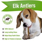Dog Chews  Antlers For Dogs  Premium Natural Elk  Long Lasting Dog Bones For    