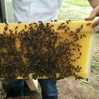 7ps Auto Honey Bee Comb Hive Frames Beehive Honey Comb Beehive Beekeeping Frames