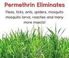 Flea   Tick Yard Spray  Permethrin Hose End Sprayer  Kills Fleas  Ticks  Spiders