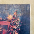 Christmas Photography Backdrop Vinyl 7ft X 5ft Winter Holiday