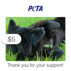  5 Charitable Donation For  Peta s Vital Work To End Animal Suffering 