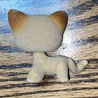 Rare Lps Littlest Pet Shop  318 Kitty Cat Beige Brown Fuzzy Shorthair Blue Eyes