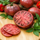 100 Heirloom Purple Cherokee Tomato Seeds - Nongmo Free Shipping  Indeterminate