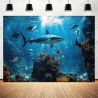 Shark Under The Sea Background Backdrop Blue Ocean Shark Sea Animal Photograp   