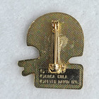        1985 Vintage Buffalo Bills Nfl Football Coca Cola Hat Jacket Lapel Pin