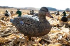 New 1 Dozen Full Body Mallard Duck Decoys