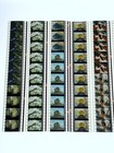 Original The Jungle Book 35mm Film Cells X10 Lot Disney Cel Vintage Collectable