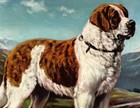 1942 Antique Saint Bernard Print Edwin Megargee Dog Art Illustration 6286s