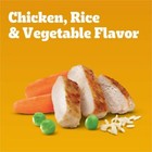 Pedigree Chicken  Rice And Vegetable Flavor Puppy Dry Dog Food 14lbs