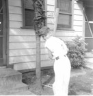 Little League Baseball Us Military Post Grant Heights Tokyo Japan B w Vtg Photo