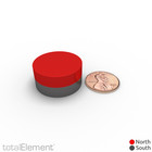 1 X 1 2 Inch Powerful Neodymium Rare Earth Disc Magnets N52  2 Pack 