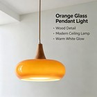 Farmhouse Vintage Glass Shade Pendant Light Wooden Canopy Hanging Ceiling Lamp