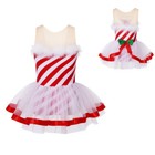 Kids Girls Dress Carnival Show Ballet Dance Leotard Christmas Costume Tutu Skirt