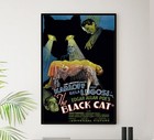 The Black Cat 1934 - Us - V1 - Classic Movie Poster Ebay