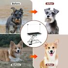 Electric Lift Pet Dog Grooming  Table Hydraulic Grooming Table With Adjustable