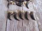 10 Drilled Coyote Claws Taxidermy Jewelry Craft Projects Animal Bones Claws