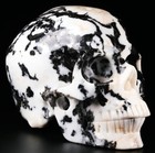 Huge 5 0  Zebra Jasper Carved Crystal Skull  Super Realistic  Crystal Healing