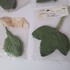 Vintage Millinery Floral Supplies Fabric Wire Leaves Lot