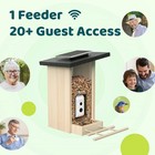 Bamboo Birdfy Smart Solar Bird Feeder With Watching App And Ai Identification