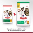 Hill s   Science Diet   Kitten Dry Cat Food - Chicken  15 5 Lb
