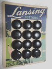 83 Antique Small Lansing Vegetable Ivory Buttons 7 Original Cards 1 2  Beige