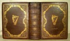 1868 Antique Ireland History Book Irish Genealogy Celtic Pagan Kings War Leather