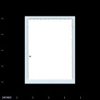 Old Vintage Photo Women Standing Outside 1955