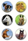 Set Of 12 - 1  Horse Resin Cabochons Domes Crafts Diy Magnets Bracelets Earrings