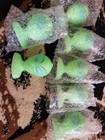 Alien Candles