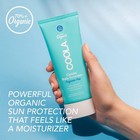 Spf 50 Broad Spectrum Body Lotion With Water Resistance  80 Min 