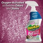3-in-1 Pet Stain Cleaner  Neutral Ph  Odoban