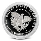 1 10 Oz Proof American Platinum Eagle Coin  random Year  Box  Coa 