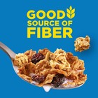 Kellogg s Raisin Bran Crunch Breakfast Cereal  Good Source Of Fiber  Mega Size 