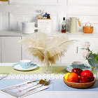 8-12inch 4 Styles 24pcs Assorted Pheasant Feathers And 24pcs 12-14inch Champagne