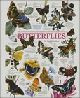 Butterfly Collection - Diy Chart Counted Cross Stitch Patterns Needlework Dmc  