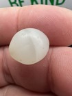 Ancient Rare White On White Agate Eye Bead 11 7 X 13 5 Mm Collectible Heirloom