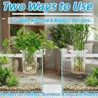 2 Pack Upgraded Aquarium Plant Holder  Fish Tank Plant Holder With Suction Cup A