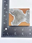 Printing Letterpress Printers Block - Large Hen Chicken Wood   Metal Stamp