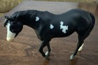 Breyer Tsc Mystery Bag Surprise Series 7 Stablemate Black Paint Horse New Open