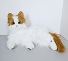 Furreal Friends Orange And White Lulu My Cuddlin  Kitty Cat Interactive - Video