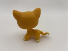 Littlest Pet Shop Authentic  855 Orange Yellow Short Hair Cat Purple Moon Eyes