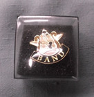 Student Lapel Pin Lot     7 Pins In Presentation Boxes     School Teacher Award Set