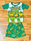 Nickelodeon Vintage 2010 Teenage Mutant Ninja Turtle 2 Piece Shorts Outfit Sz 3t