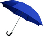 Dual-fold Automatic Open Umbrella