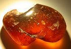 Variety Of Insects In Large Burmese Burmite Amber Fossil Dinosaur Age 11 7 G