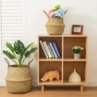 Brilliantjo Seagrass Belly Basket  Set Of 2 Woven Plant Pot Holder Handmade H